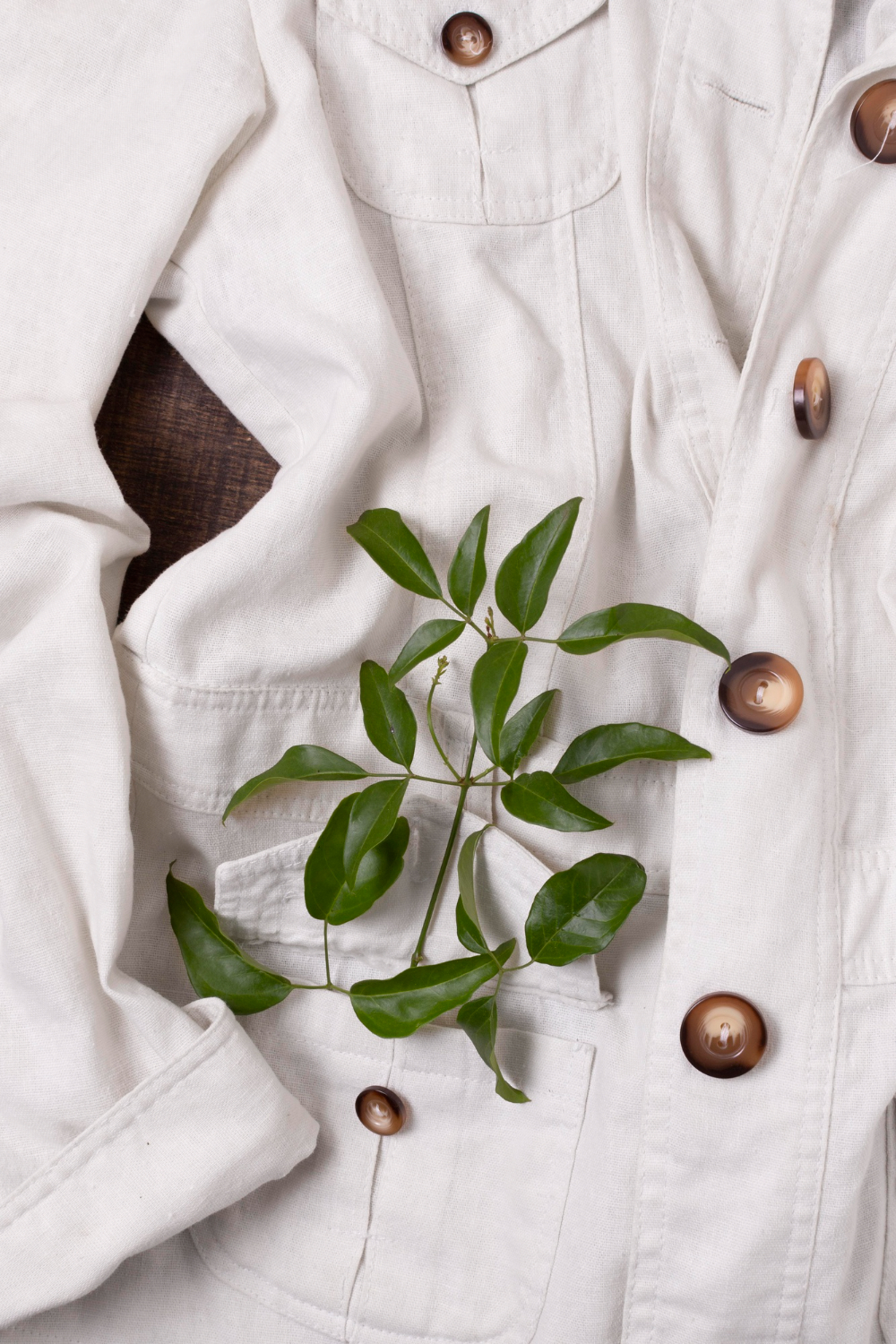 Picture of Your Guide to Choosing Eco-Friendly Textiles in Fashion - itechfy